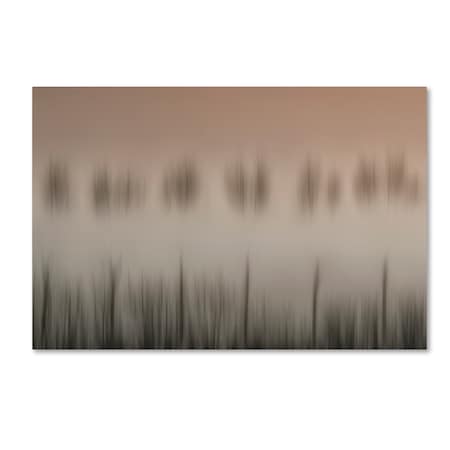 Trademark Fine Art Yvette Depaepe 'The Magic Of A Foggy Morning' Canvas Art, 16x24 1X01268-C1624GG